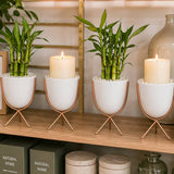 Modern Minimalist Tripod Stand Planter