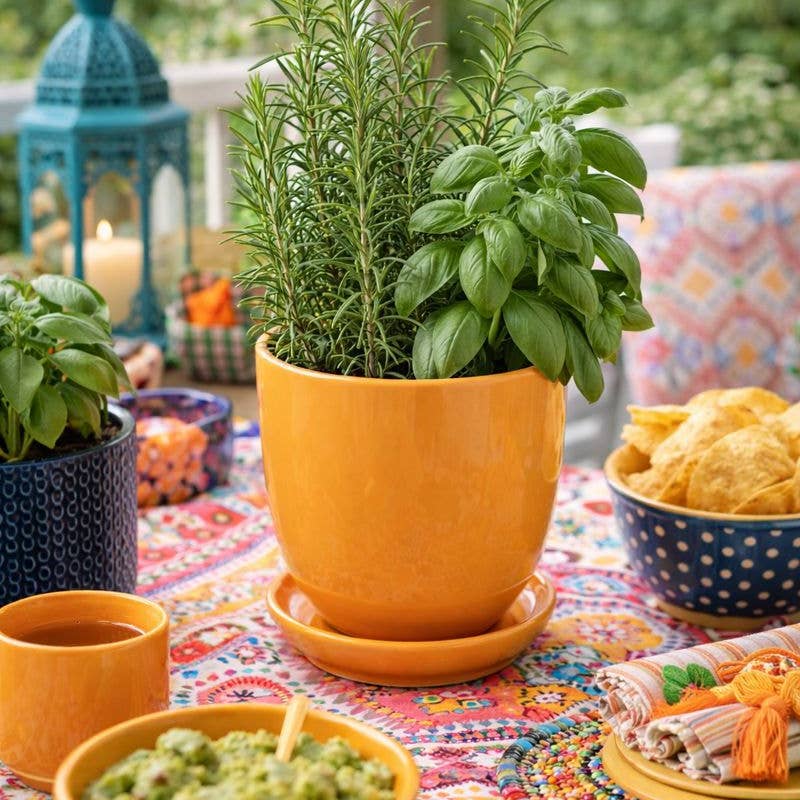 Orange Planter with Saucer