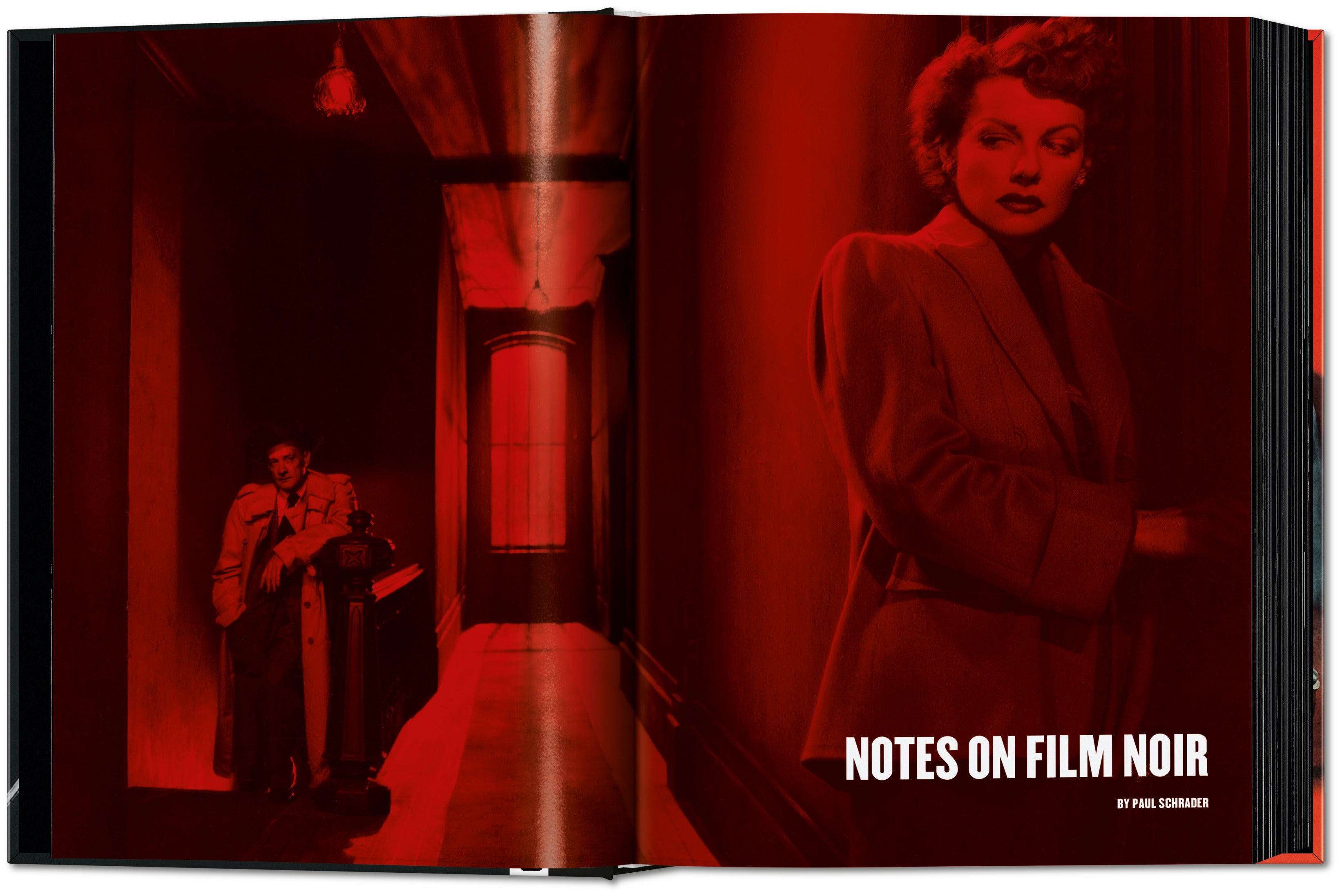 Film Noir: 100 All-Time Favorites