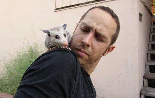 Sean Tejaratchi