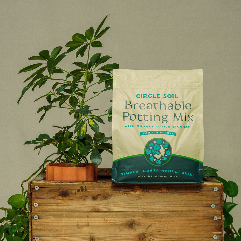 A bag of Circle Soil Breathable Potting Mix stands on a wooden crate next to a potted green plant against a plain beige wall.